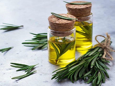 قیمت خرید روغن رزماری + فروش ویژه